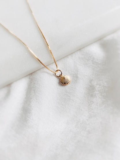 Pearl + Shell Necklace